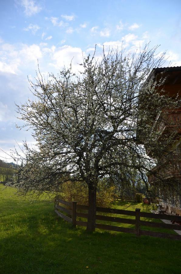 Aubauer Villa Bischofshofen Eksteriør billede